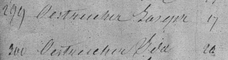 Joseph Austrian (Oestreicher) and his sister Ida. ~ "New York Passenger Lists, 1820-1891," database with images, FamilySearch (https://familysearch.org/ark:/61903/3:1:939V-5GDD-X?cc=1849782&wc=MX62-DMW%3A165759201 : 21 May 2014), > image 565 of 869; citing NARA microfilm publication M237 (Washington D.C.: National Archives and Records Administration, n.d.).